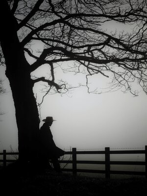 cover image of Sombras sobre el lago